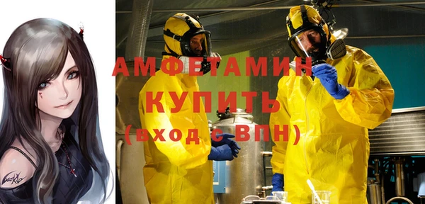 твердый Алексин